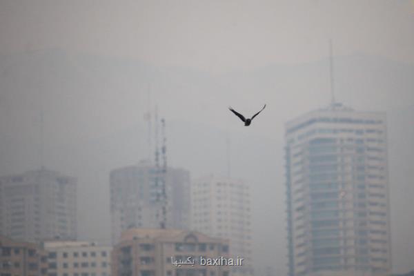 پیشبینی تداوم آلودگی هوای تهران تا صبح فردا