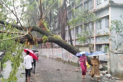 7 کشته بر اثر وقوع توفان در بنگلادش