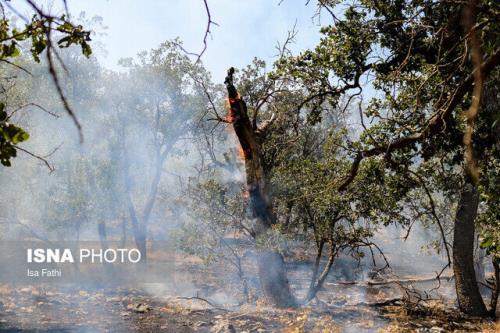 مهار 4 و نیم هکتاری آتش سوزی در جنگل های سیاهرود