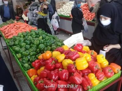 خرید ۴۰۰ هزارتنی تهرانی ها از محصولات میادین میوه و تره بار